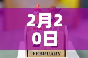2月20日 → 2月20日是初几