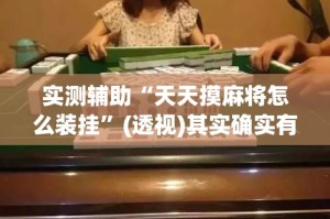 实测辅助“天天摸麻将怎么装挂”(透视)其实确实有挂