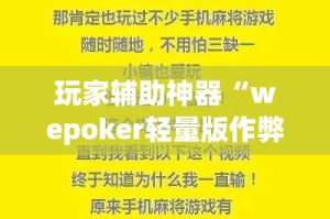 玩家辅助神器“wepoker轻量版作弊挂开挂软件”(透视)其实确实有挂