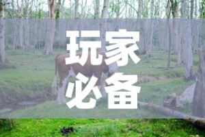 玩家必备教程“微信牛牛群斗牛群”链接房卡在哪里获取