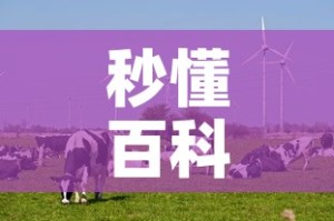 秒懂百科“微信牛牛群斗牛群”详细房卡教程