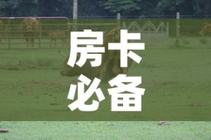 房卡必备教程“微信牛牛群斗牛群”详细房卡怎么购买教程