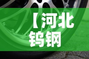 【河北钨钢硬质合金价钱,钨钢价格多少】