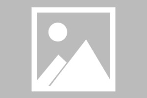 甘肃疫情新增一例在哪里›甘肃新增病例详情