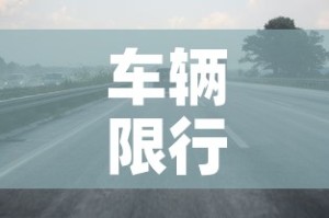 车辆限行端午 → 端午车辆限行不