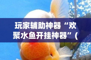 玩家辅助神器“欢聚水鱼开挂神器”(透视)其实确实有挂