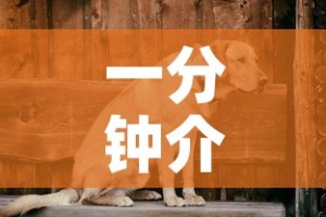 一分钟介绍使用“微信链接牛牛炸 金花房间卡”房卡获取方式