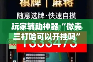 玩家辅助神器“微壳三打哈可以开挂吗”(透视)其实确实有挂
