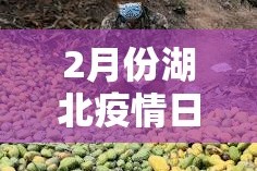 秒懂百科“微信金花房卡在哪里充”详细房卡使用教程