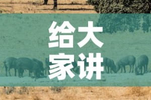 全攻略普及“微信开炸 金花群房卡上哪里充”房卡使用教程