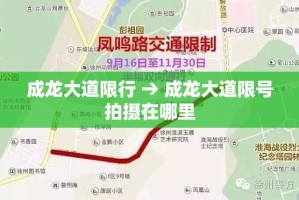 成龙大道限行 → 成龙大道限号拍摄在哪里