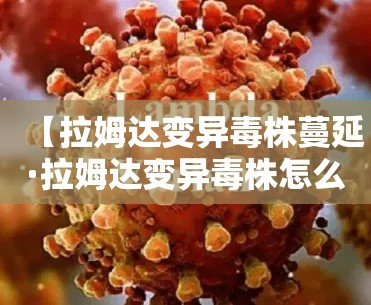 给大家讲解“微信金花房卡怎样购买”链接房卡在哪里获取