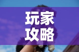玩家攻略“斗牛房卡牛牛房卡”详细房卡怎么购买教程