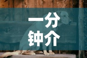 一分钟介绍使用“微信上怎么斗牛”链接房卡在哪里获取