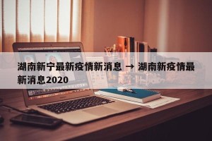 湖南新宁最新疫情新消息 → 湖南新疫情最新消息2020