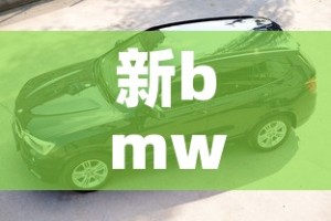 新bmw5系 → 2021 bmw5系