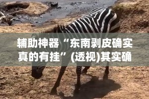 辅助神器“东南剥皮确实真的有挂”(透视)其实确实有挂