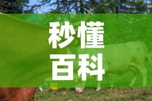 秒懂百科“微信牛牛群房卡”房卡怎么购买