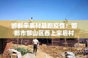 【漳州疫情新增消息,漳州疫情最新动态】
