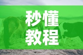 给大家讲解“牛牛卡房链接”详细房卡教程