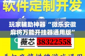 玩家辅助神器“微乐安徽麻将万能开挂器通用版”(作弊)辅助透视教程
