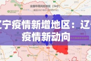 辽宁疫情新增地区：辽宁疫情新动向