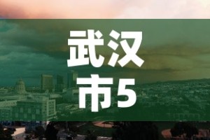 武汉市5月9日新增疫情：武汉市5月9日新增疫情病例