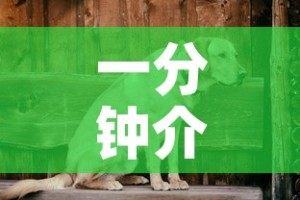 一分钟介绍使用“正规斗牛房卡哪里买”房卡详细充值