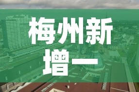 梅州新增一区二区疫情 → 梅州新增一例新型肺炎