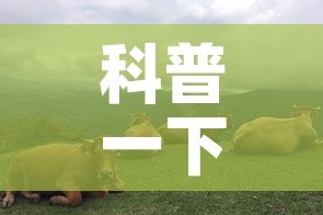 科普一下“微信斗牛牛链接”详细房卡教程