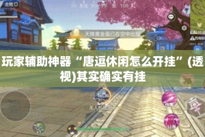 玩家辅助神器“唐逗休闲怎么开挂”(透视)其实确实有挂