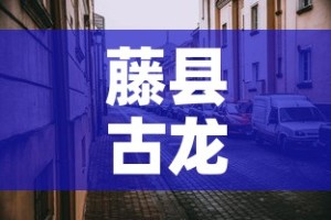 藤县古龙镇最新疫情情况›藤县古龙政府电话