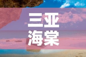 三亚海棠湾民宿租金价格 → 三亚海棠区民宿