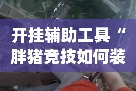 开挂辅助工具“胖猪竞技如何装挂”(透视)其实确实有挂