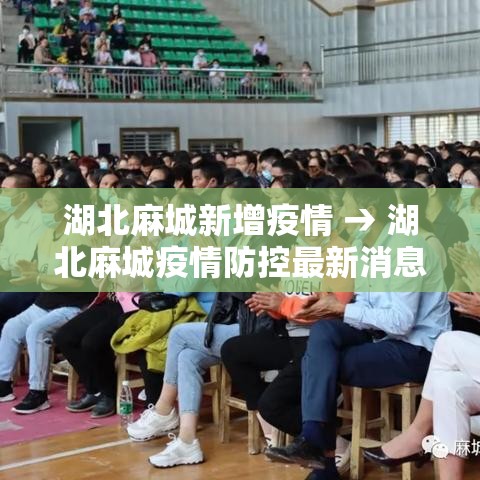 一分钟实测分享“微信牛牛链接房卡哪里买的”轻松获取房卡全渠道