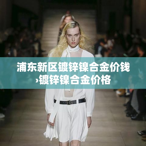 浦东新区镀锌镍合金价钱›镀锌镍合金价格 浦东新区镀锌镍合金价钱›镀锌镍合金价格