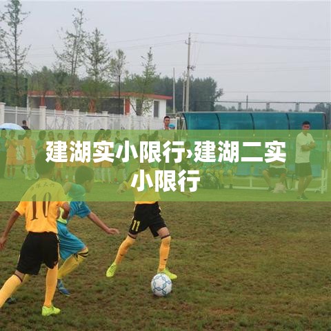 建湖实小限行›建湖二实小限行 建湖实小限行›建湖二实小限行