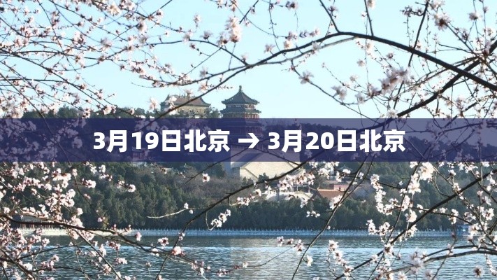 广东疫情三月十一日新增:31日广东新增 广东疫情三月十一日新增:31日广东新增
