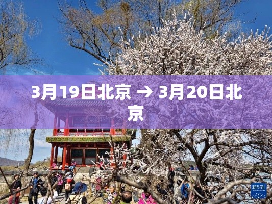 3月19日北京 → 3月20日北京 3月19日北京 → 3月20日北京