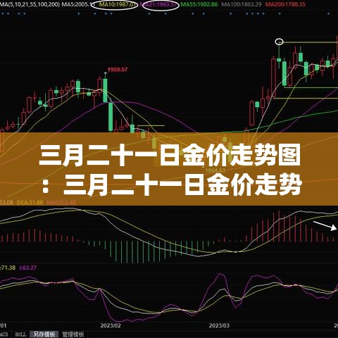 臻传一生3年现金价值表—(臻爱一生20终身重疾) 臻传一生3年现金价值表—(臻爱一生20终身重疾)