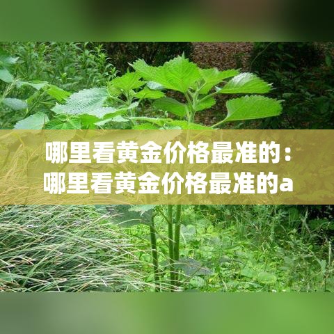 【北京海淀5月11日12日新增9例本土确诊·北京海淀确诊病例行动轨迹】