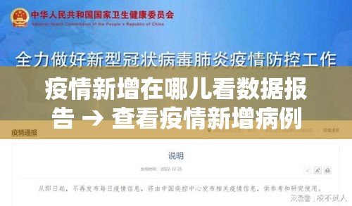 疫情新增在哪儿看数据报告 → 查看疫情新增病例