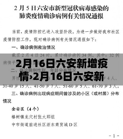 2月16日六安新增疫情›2月16日六安新增疫情病例