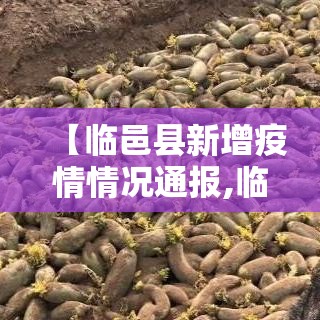 【临邑县新增疫情情况通报,临邑县最新疫情】 【临邑县新增疫情情况通报,临邑县最新疫情】