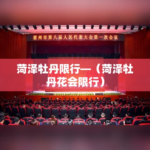 车队闯限行 → 如果闯了限行是扣几分扣钱吗