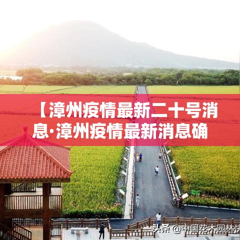 【漳州疫情最新二十号消息·漳州疫情最新消息确诊】
