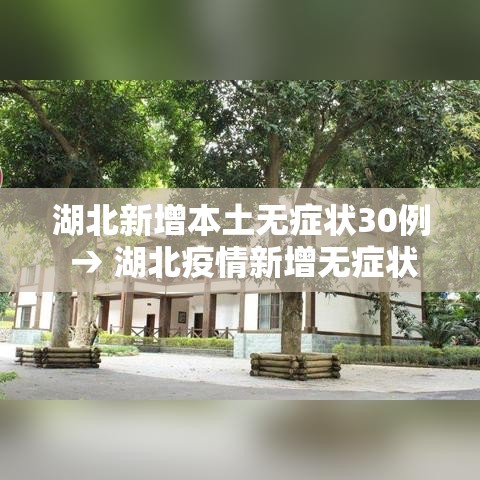 湖北新增本土无症状30例 → 湖北疫情新增无症状 湖北新增本土无症状30例 → 湖北疫情新增无症状