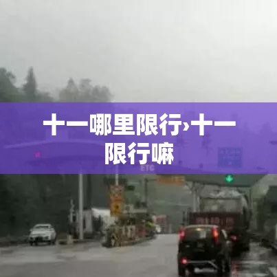 十一哪里限行›十一限行嘛