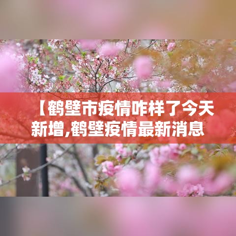 【31省新增确诊2例均为境外输入,31省新增确诊病例36例 均为境外输入】