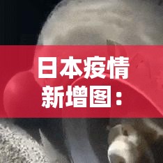 哈尔滨疫情最新通知›哈尔滨疫情最新防控消息